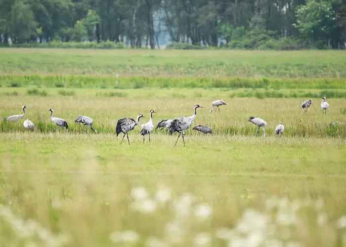 アパート Ostseefeeling - 5 Sterne Mit Suedbalkon In Der Seefahrtschule